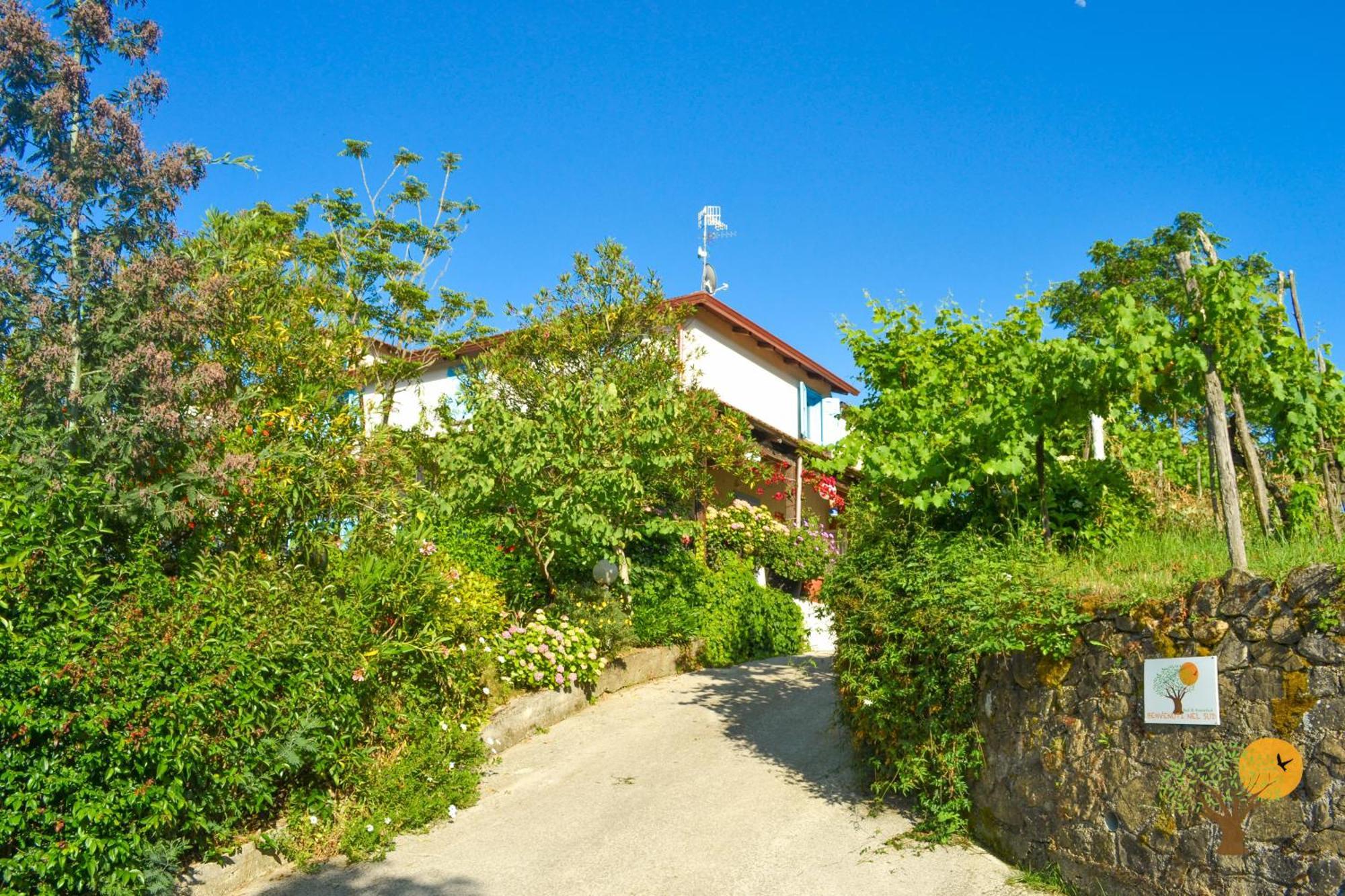 Bed and Breakfast Benvenuti Nel Sud Sessa Cilento Екстер'єр фото