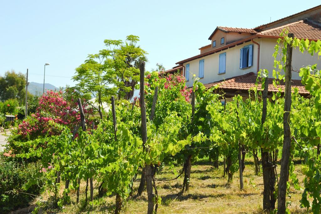 Bed and Breakfast Benvenuti Nel Sud Sessa Cilento Екстер'єр фото