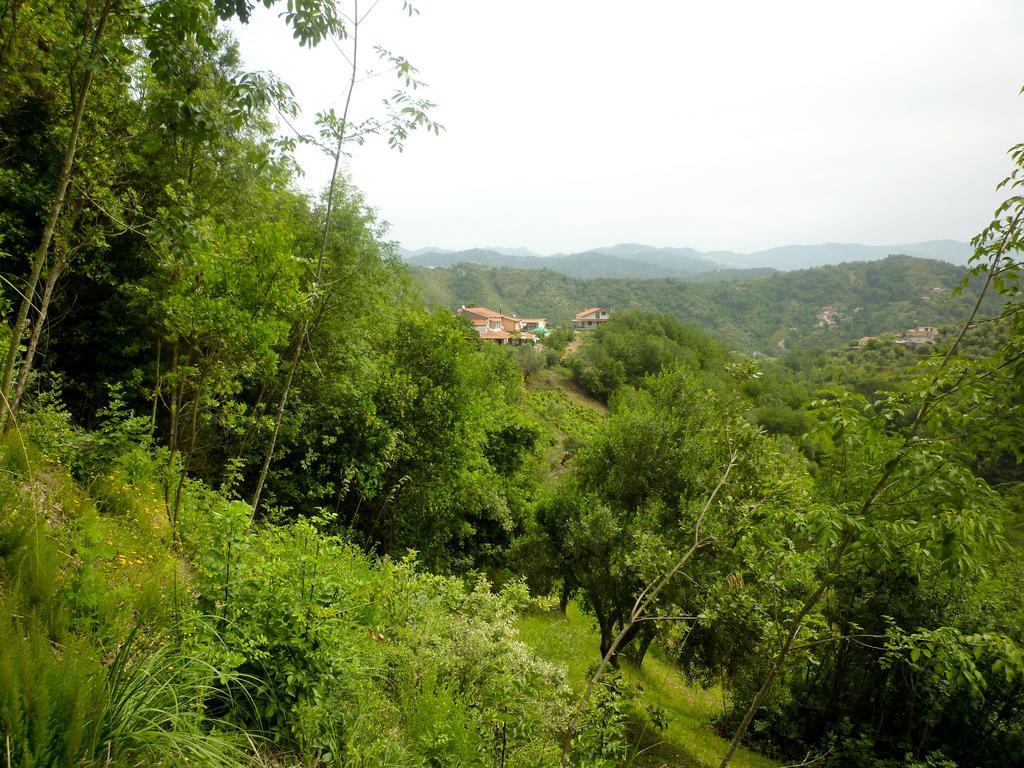 Bed and Breakfast Benvenuti Nel Sud Sessa Cilento Екстер'єр фото