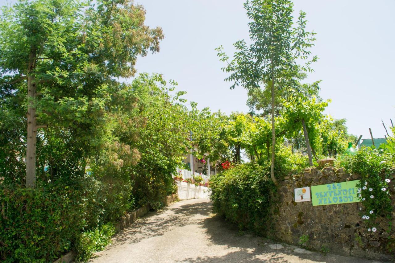 Bed and Breakfast Benvenuti Nel Sud Sessa Cilento Екстер'єр фото